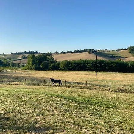 Havre De Paix A La Campagne Puycornet